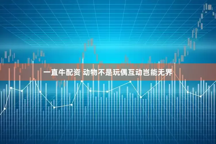 一直牛配资 动物不是玩偶互动岂能无界