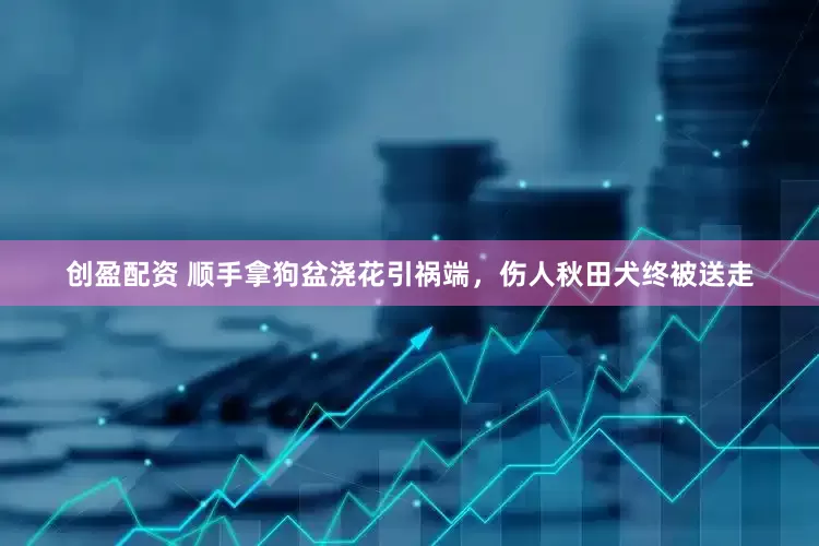创盈配资 顺手拿狗盆浇花引祸端，伤人秋田犬终被送走