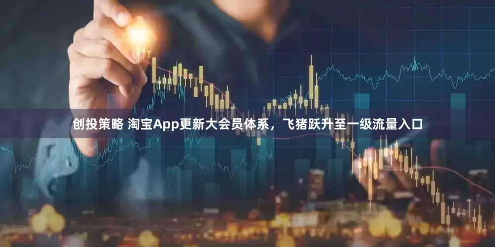 创投策略 淘宝App更新大会员体系，飞猪跃升至一级流量入口