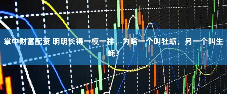 掌中财富配资 明明长得一模一样，为啥一个叫牡蛎，另一个叫生蚝?